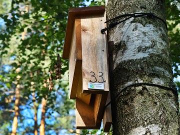 Monitoring zasiedlenia skrzynek nietoperzowych w trzech Parkach ZPKWŁ, <p>skrzynka typu Stratmann</p>